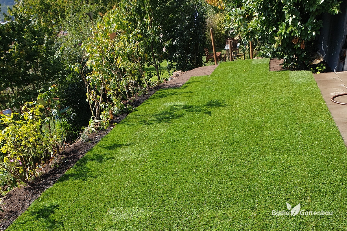 Rollrasen Esslingen – Badiu Gartenbau